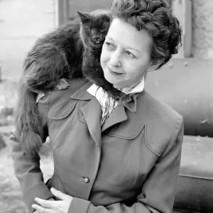 Cat Woman: Mrs Nan Cotton who has 80 cats as pets in her home Cat Woman: Mrs Nan Cotton who has 80 cats as pets in her home