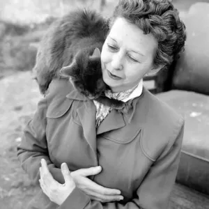 Cat Woman: Mrs Nan Cotton who has 80 cats as pets in her home Cat Woman: Mrs Nan Cotton who has 80 cats as pets in her home