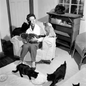 Cat Woman: Mrs Nan Cotton who has 80 cats as pets in her home Cat Woman: Mrs Nan Cotton who has 80 cats as pets in her home