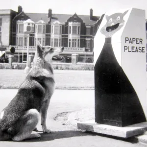Cat litter bins at Barry Island, Wales print Cat litter bins at Barry Island, Wales print