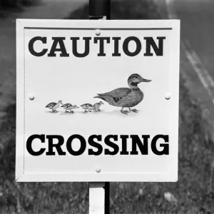 Caution, Duck Crossing Sign at the Village of Sherfield on Loddon, North Hampshire Caution, Duck Crossing Sign at the Village of Sherfield on Loddon, North Hampshire