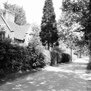 Caversham, Reading, Berkshire, England, June 1980 Caversham, Reading, Berkshire, England, June 1980