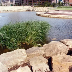 Central Gardens, Middlesbrough. 12th July 1991