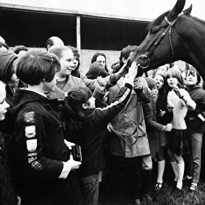 Champion racehorse Mill Reef makes his farewell appearance at Kingsclere