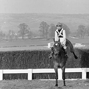Cheltenham Gold Cup 1965. Mill House taking a fence before finishing second to Arkle