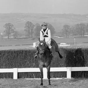 Cheltenham Gold Cup 1965. Mill House taking a fence before finishing second to Arkle