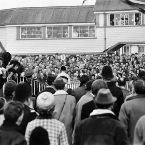 Cheltenham Gold Cup, Thursday 17th March 1966. Arkle and Pat Taaffe after winning Cheltenham Gold Cup, Thursday 17th March 1966. Arkle and Pat Taaffe after winning