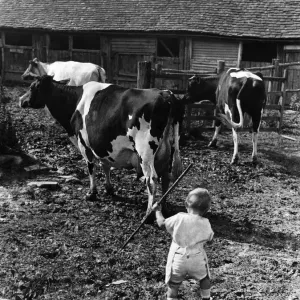 Child on a Farm Playing with a Stick Print, 7th August 1936