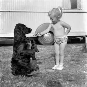 Children and animals friendship. Mr. and Mrs. R. Smart, holds up Rinty, the Spaniel Children and animals friendship. Mr. and Mrs. R. Smart, holds up Rinty, the Spaniel
