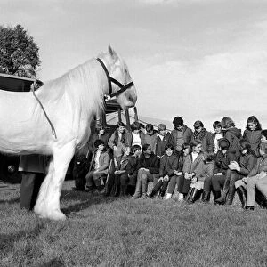 Children with animals: "Sovereign"the massive grey Shire dray horse belonging