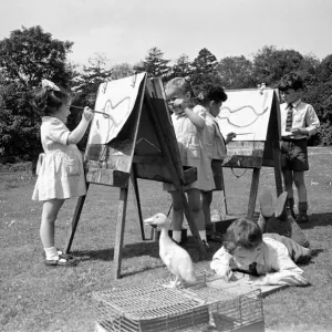 Children at Crarleigh L. C. C. Residential Nursery School look after their pet ducklings