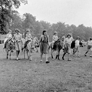 Children enjoying donkey rides in Sutton Park