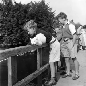 Children Fishing in river Avon near Salisbury & cat watches. August 1952 C4155 Children Fishing in river Avon near Salisbury & cat watches. August 1952 C4155