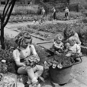Twelve children are looking after the sixty plots at the only remaining garden of Twelve children are looking after the sixty plots at the only remaining garden of