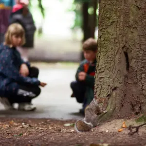 Children looking for squirrels at the Squirrel Hunt, Stewart Park