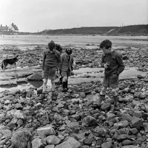 Children Picking Whelks Print, Sunderland 1954