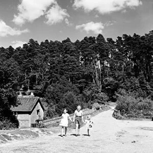 Children playing in the hamlet of Friday Street in Surrey. 28th August 1952