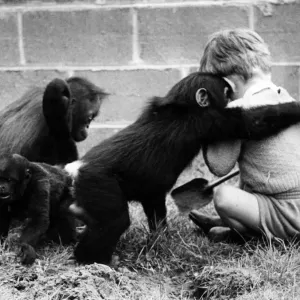 Children playing with monkeys at Chester Zoo, 16th May 1960 Children playing with monkeys at Chester Zoo, 16th May 1960