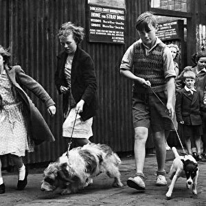 Three children walk their pets, or rather are tugged along the pavement by their eager