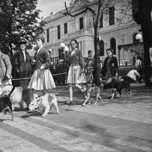 Childrens Pet Dog Show at Southport, the parade of all shapes and sizes at the show