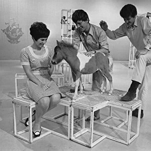 Childrens television programme Blue Peter 1968 Valerie Singleton John Noakes playing with