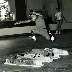 Chimpanzee leaps over a row of large teddy bears. June 1960 Chimpanzee leaps over a row of large teddy bears. June 1960