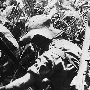 A Chindit hacks his way through thick jungle. A scene from the Army film Unit Production