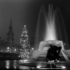 A Christmas Tree with its lights on in Trafalgar Square 1960