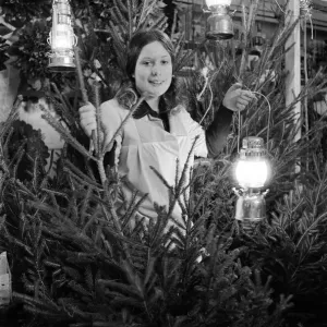 Christmas Trees, On Sale during blackout, being sold by candlelight, Market Hall