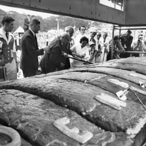 With Civic Dignity, Mr. Jonas Kenyon cuts the first slice of Denby Dales six-ton pie