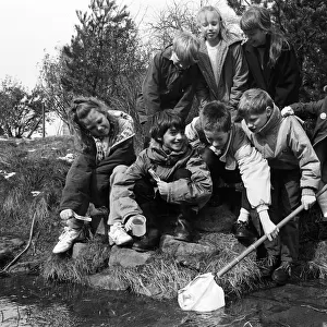 Cleaning up... Meltham County Primary School pupils work in the conservation scheme which