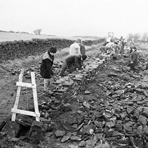 Colne Valley school children dry stone walling at Delves Moor Farm, Slaithwaite