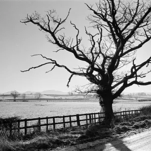 Countryside Scenes, Cleveland, North Yorkshire, 1st February 1980 Countryside Scenes, Cleveland, North Yorkshire, 1st February 1980