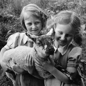 Children's Dairy Farm Scheme Print, May 1945