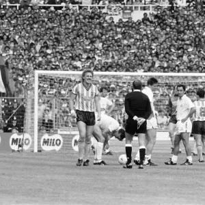 Coventry City v Tottenham Hotspur FA Cup Final at Wemley Stadium, Saturday 16th May 1987 Coventry City v Tottenham Hotspur FA Cup Final at Wemley Stadium, Saturday 16th May 1987