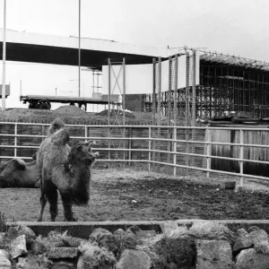 Le zoo de Coventry, Whitley, 14 janvier 1973. Le zoo de Coventry, Whitley, 14 janvier 1973.