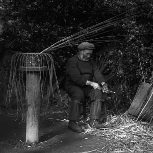 Crab pot making at Penberth, Sharpening willows ready for the frame. Cornwall. 1923 Crab pot making at Penberth, Sharpening willows ready for the frame. Cornwall. 1923