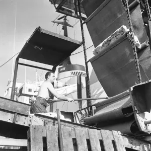 The crew of the St Jason seen here landing their catch of frozen cod. 22nd August 1968 The crew of the St Jason seen here landing their catch of frozen cod. 22nd August 1968