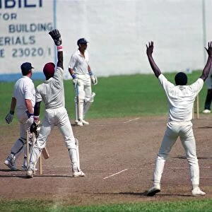 Cricket. England v. Windward Island. March 1990 90-1308A-069