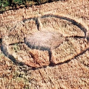 Crop Circles 1990
