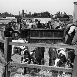 Crowds gather at Hailsham Market, Sussex. Circa 1945 Crowds gather at Hailsham Market, Sussex. Circa 1945