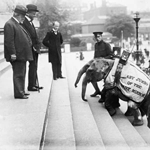 Daily Mirror Elephants Jimbo and Jumbo are greeted on the Portsmouth town hall steps by