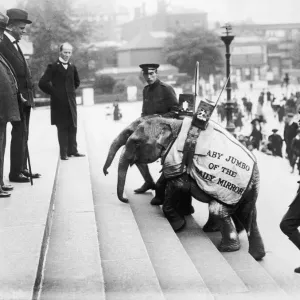 Daily Mirror Elephants Meet Mayor in Portsmouth Print 1913 Daily Mirror Elephants Meet Mayor in Portsmouth Print 1913