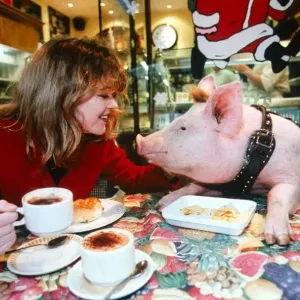 Daily Mirror takes their version of new film Babe star to the streets of London pig