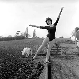 Dancing on the farm Ballerina Gillian Brodie seen here performing on fence posts