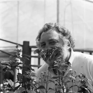 David Bellamy with an Atlas moth at Stratford-upon-Avon Butterfly house. 23rd July 1985 David Bellamy with an Atlas moth at Stratford-upon-Avon Butterfly house. 23rd July 1985