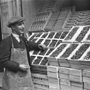 Day in the life of Covent Garden Market Cirica 1948 A fruit salesman is Day in the life of Covent Garden Market Cirica 1948 A fruit salesman is