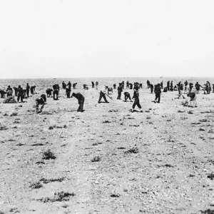 Two days work by British and Australian airmen turned the Tripolitanian desert into an Two days work by British and Australian airmen turned the Tripolitanian desert into an