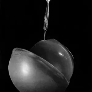 Death of a Balloon: It opens out, nearing its end, the sharp point neatly paring it Death of a Balloon: It opens out, nearing its end, the sharp point neatly paring it