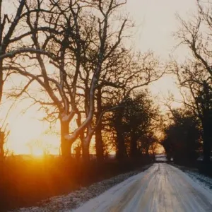 A delightful winter scene captured on camera near Napton, Warwickshire A delightful winter scene captured on camera near Napton, Warwickshire